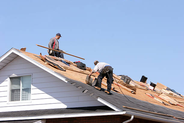 Best Gutter Installation and Repair  in Hartselle, AL